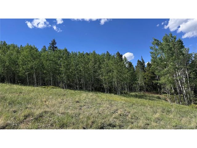2 Mac Rock Rd, Central City, CO 80427