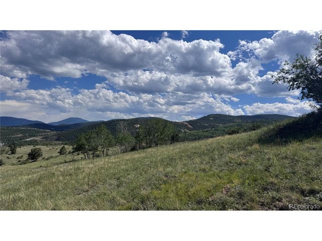 2 Mac Rock Rd, Central City, CO 80427