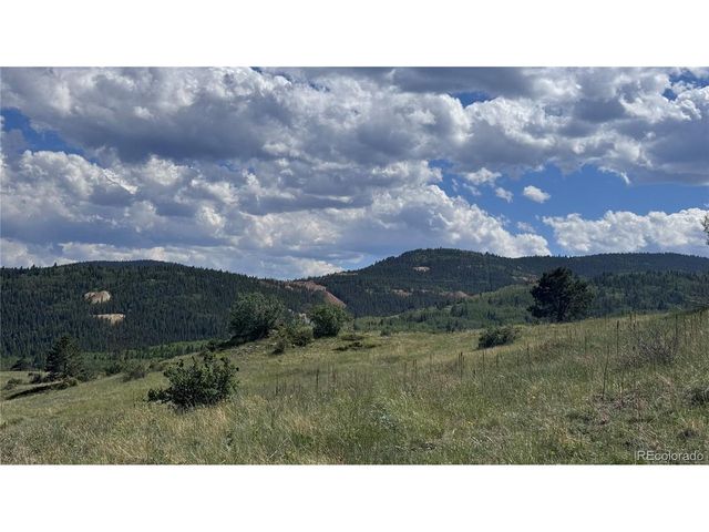 2 Mac Rock Rd, Central City, CO 80427