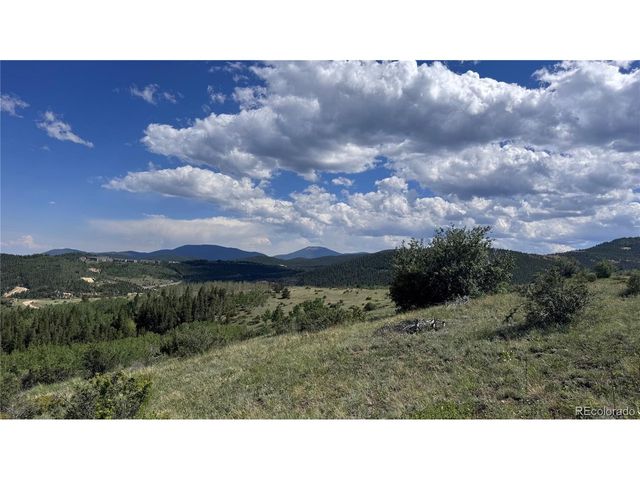 2 Mac Rock Rd, Central City, CO 80427