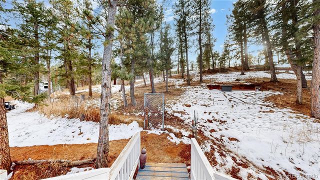 33988 Jenifer Road, Pine, CO 80470