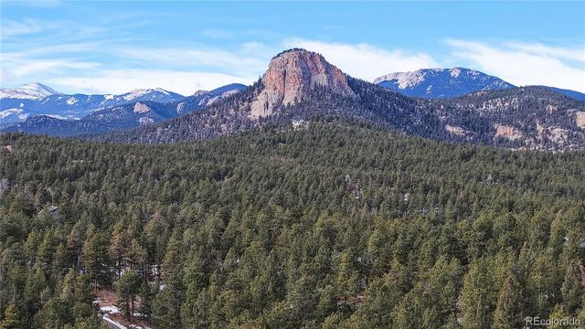 33988 Jenifer Road, Pine, CO 80470