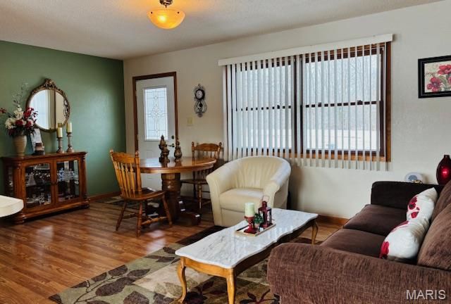 205 and 207 Center Point Rd, Steelville, MO 65565