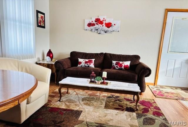 205 and 207 Center Point Rd, Steelville, MO 65565