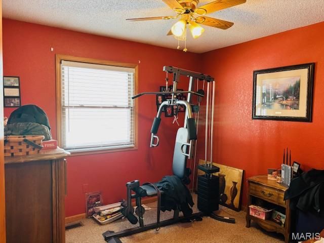 205 and 207 Center Point Rd, Steelville, MO 65565