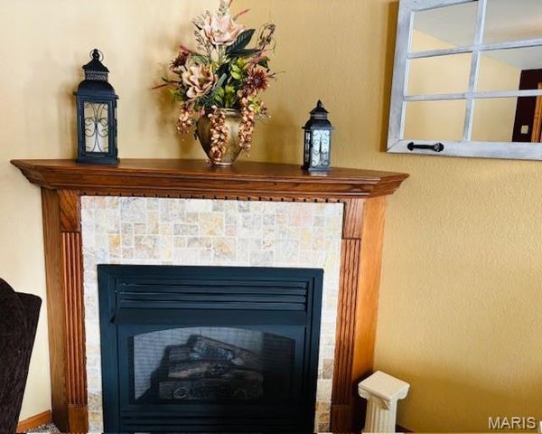 205 and 207 Center Point Rd, Steelville, MO 65565