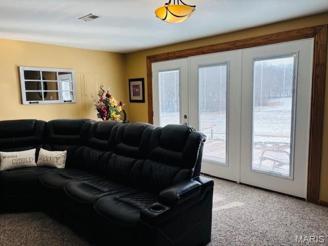 205 and 207 Center Point Rd, Steelville, MO 65565