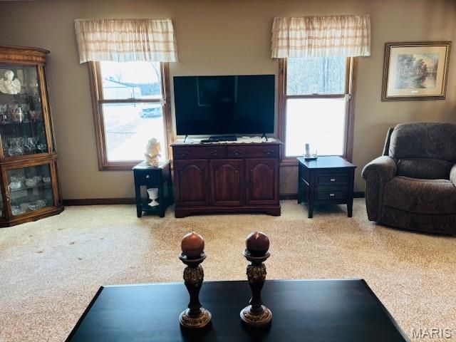 205 and 207 Center Point Rd, Steelville, MO 65565