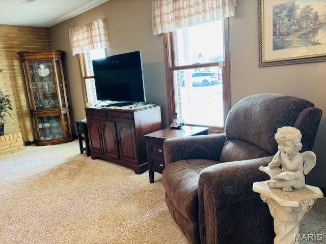 205 and 207 Center Point Rd, Steelville, MO 65565