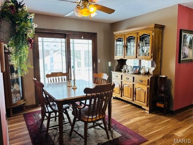 205 and 207 Center Point Rd, Steelville, MO 65565