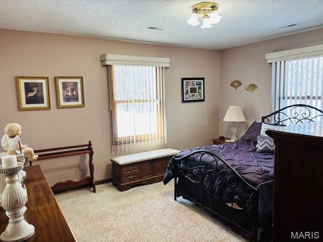 205 and 207 Center Point Rd, Steelville, MO 65565