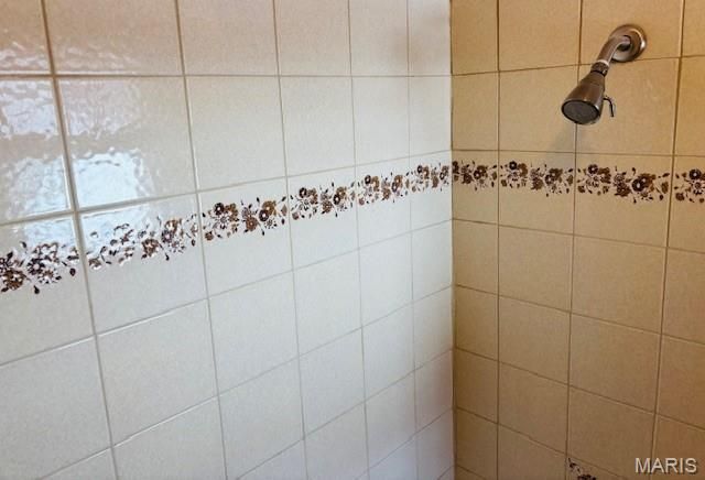 205 and 207 Center Point Rd, Steelville, MO 65565