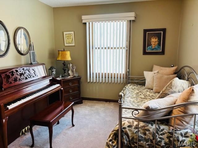 205 and 207 Center Point Rd, Steelville, MO 65565