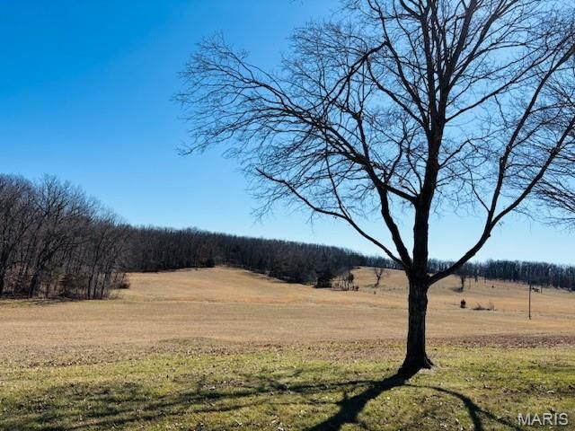 205 and 207 Center Point Rd, Steelville, MO 65565