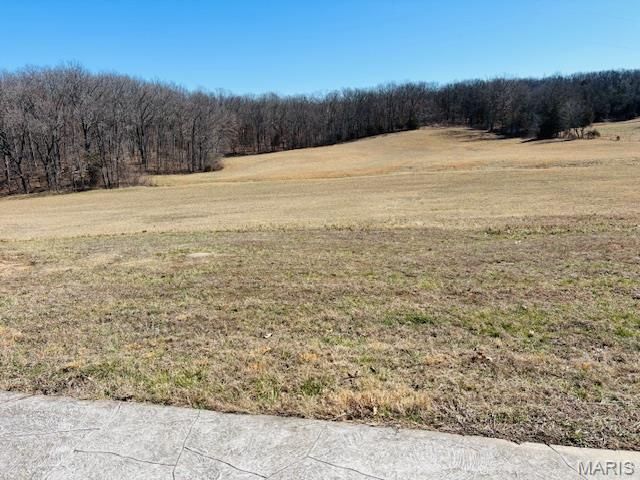 205 and 207 Center Point Rd, Steelville, MO 65565