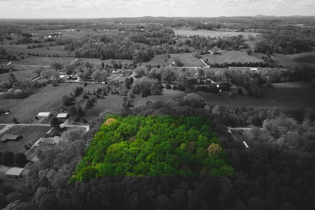 2ac Barry Lane, Nancy, KY 42544