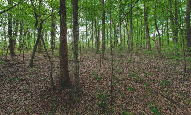 2ac Barry Lane, Nancy, KY 42544