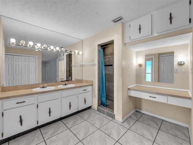 4727 STEEL DUST LANE, Lutz, FL 33559