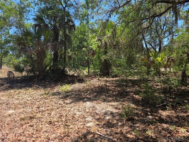 11837 N Captiva Terrace, Dunnellon, FL 34433