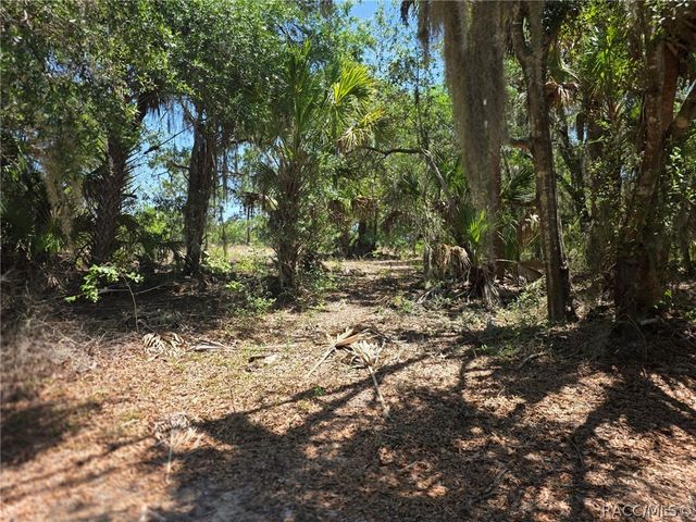 11837 N Captiva Terrace, Dunnellon, FL 34433