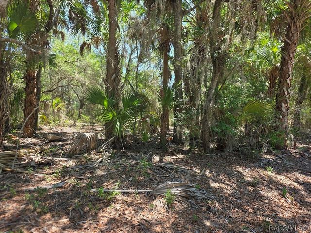 11837 N Captiva Terrace, Dunnellon, FL 34433