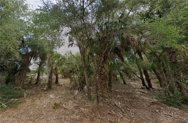 11837 N Captiva Terrace, Dunnellon, FL 34433