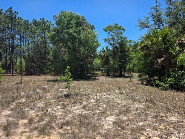 11837 N Captiva Terrace, Dunnellon, FL 34433