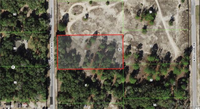 11837 N Captiva Terrace, Dunnellon, FL 34433