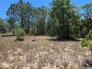 11837 N Captiva Terrace, Dunnellon, FL 34433