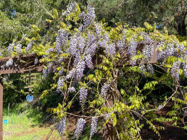 31191 Turner Road, Fort Bragg, CA 95437