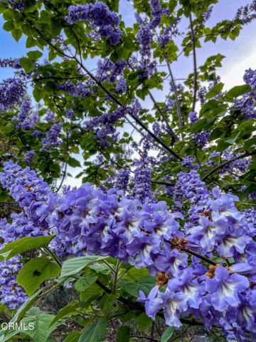 31191 Turner Road, Fort Bragg, CA 95437