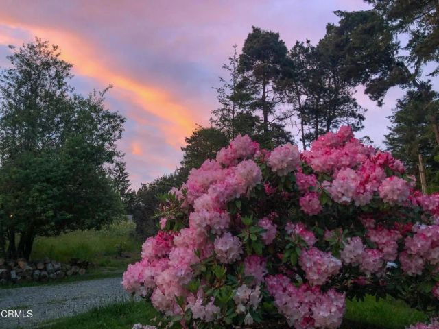 31191 Turner Road, Fort Bragg, CA 95437