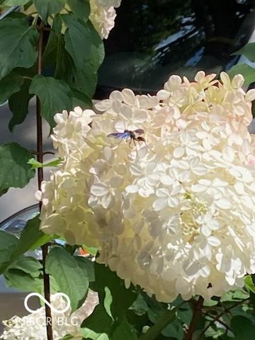 5322 Lowell Avenue, Indianapolis, IN 46219