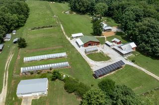 3812 Rhea Branch Rd, Ethridge, TN 38456