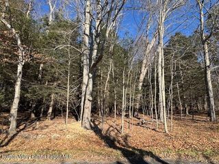 Tbd Park Road, Lexington, NY 12452