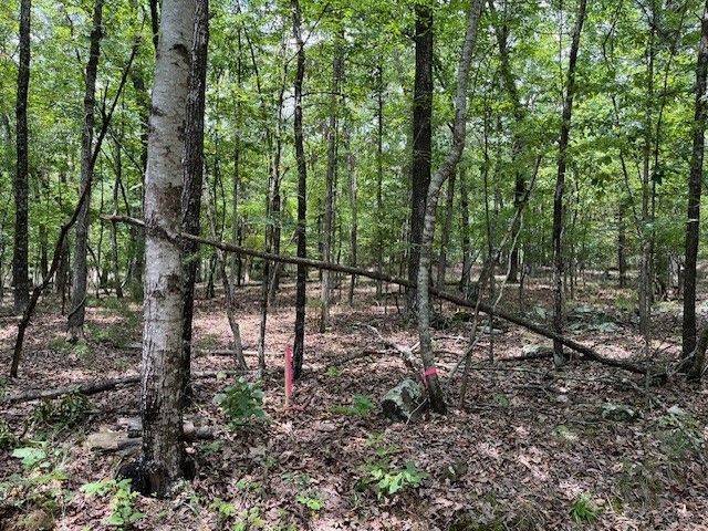 TBD Trestle Street, Winslow, AR 72959