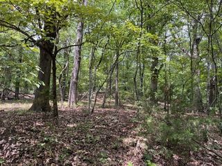 TBD Trestle Street, Winslow, AR 72959