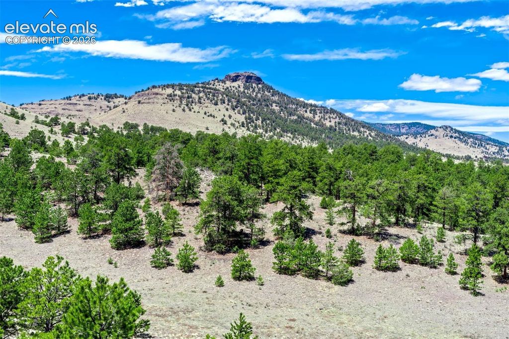 00 Roan Trail, Guffey, CO 80820 — photo 2