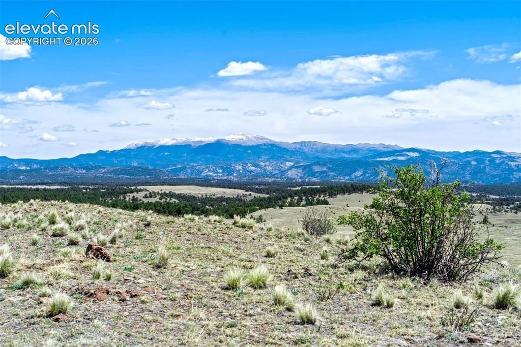 00 Roan Trail, Guffey, CO 80820 — photo 4