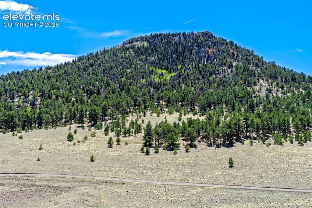 00 Roan Trail, Guffey, CO 80820 — photo 5