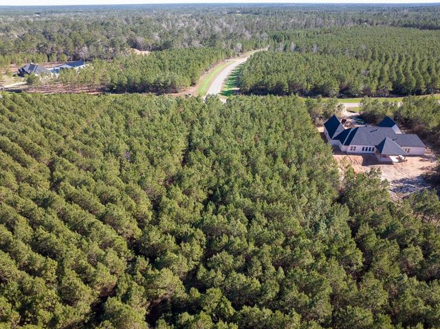 15715 Ridge Rock Road, Willis, TX 77378