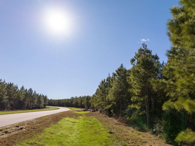 15715 Ridge Rock Road, Willis, TX 77378