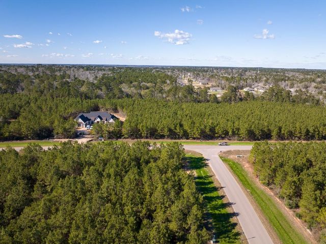 15715 Ridge Rock Road, Willis, TX 77378