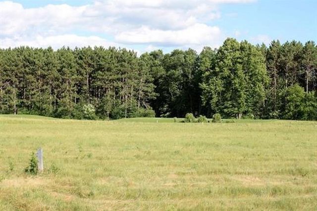 1301 BENT STICK DRIVE #Condominium Unit 2, Wausau, WI 54403