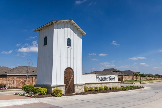 14009 Danesdale Drive, Pilot Point, TX 76258