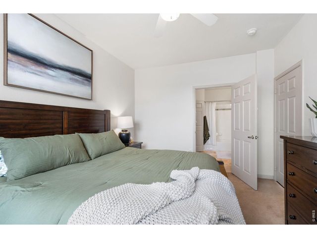 5620 Fossil Creek Pkwy 12107, Fort Collins, CO 80525