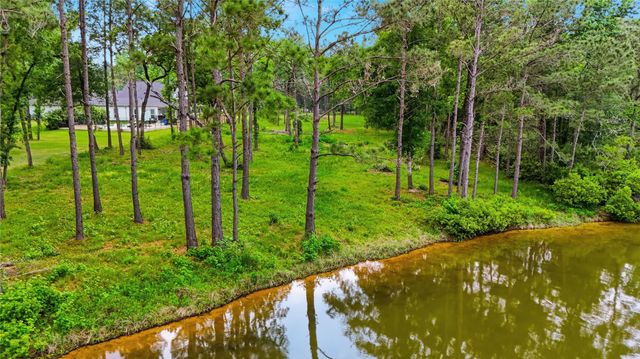 2302 Honea Egypt Road, Magnolia, TX 77354