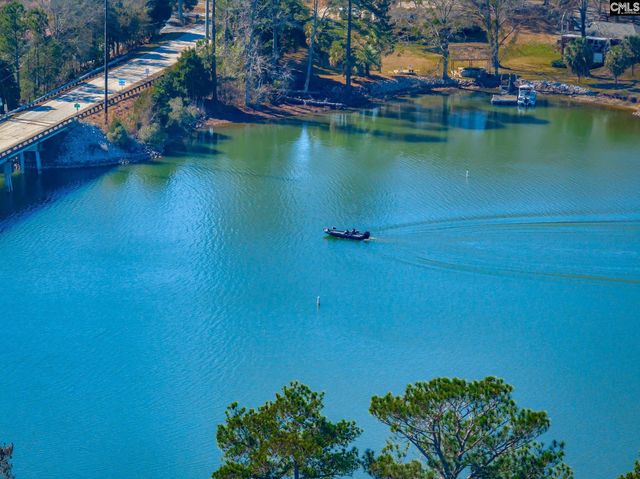 604 Newberry Drive, Chapin, SC 29036