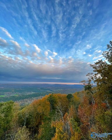 25777 County Road 89, Mentone, AL 35984