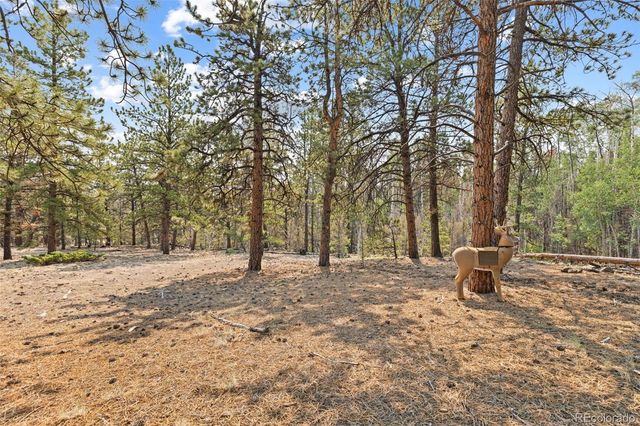 559 Bellows Road, Hartsel, CO 80449